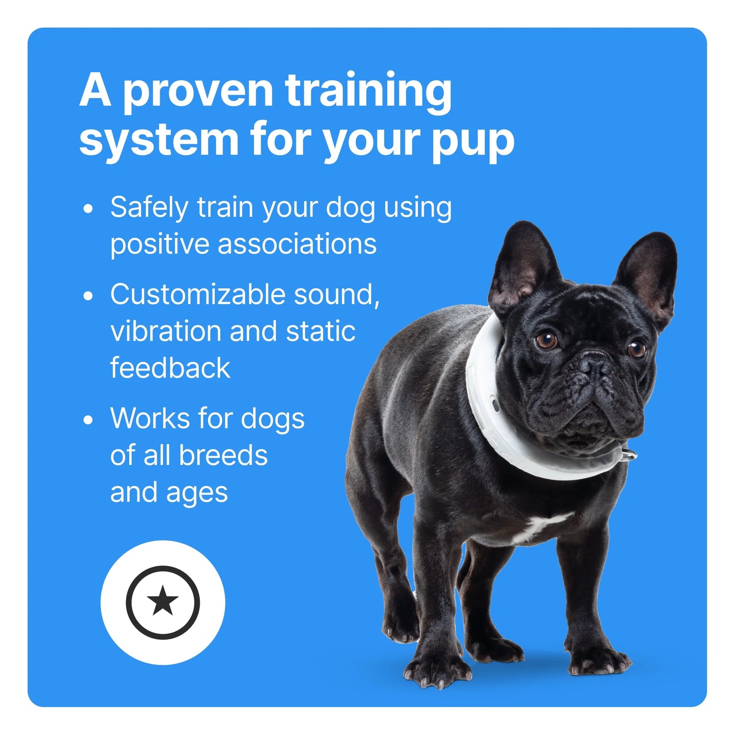 3 - Wireless GPS Dog Fence & Training Collar with Real-Time Tracking, Sunburst, Medium/Large