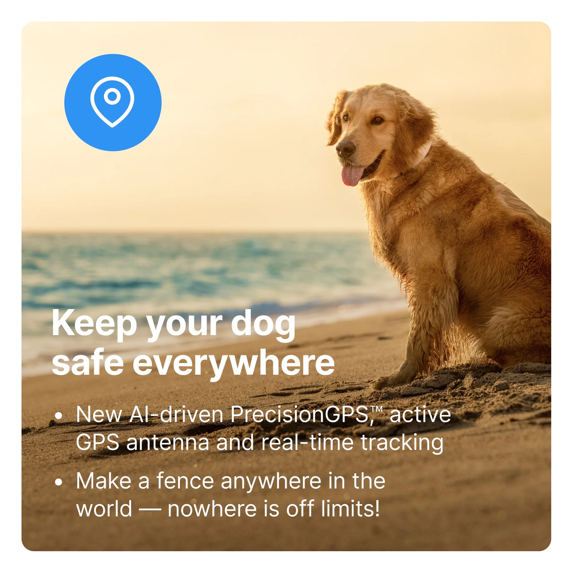 3 - Wireless GPS Dog Fence & Training Collar with Real-Time Tracking, Sunburst, Medium/Large